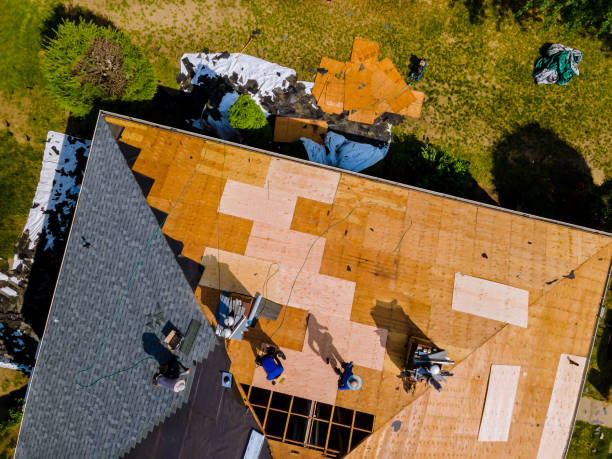 Best Emergency Roof Repair  in Elkton, VA