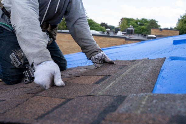 Best Roof Gutter Cleaning  in Elkton, VA