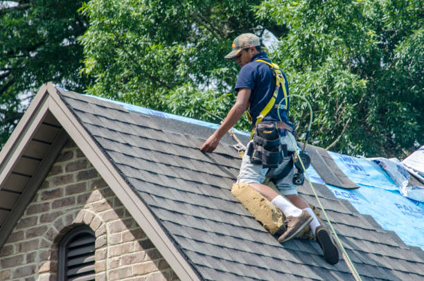 Best Gutter Installation and Roofing  in Elkton, VA